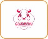 Gaudhenu